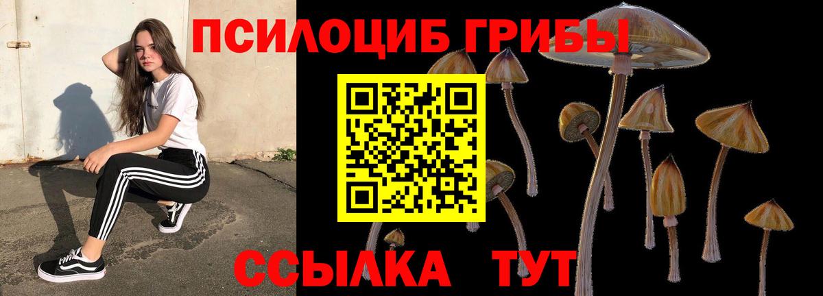 Урюпинск  Псилоцибиновые грибы мухоморы  Вход с VPN 